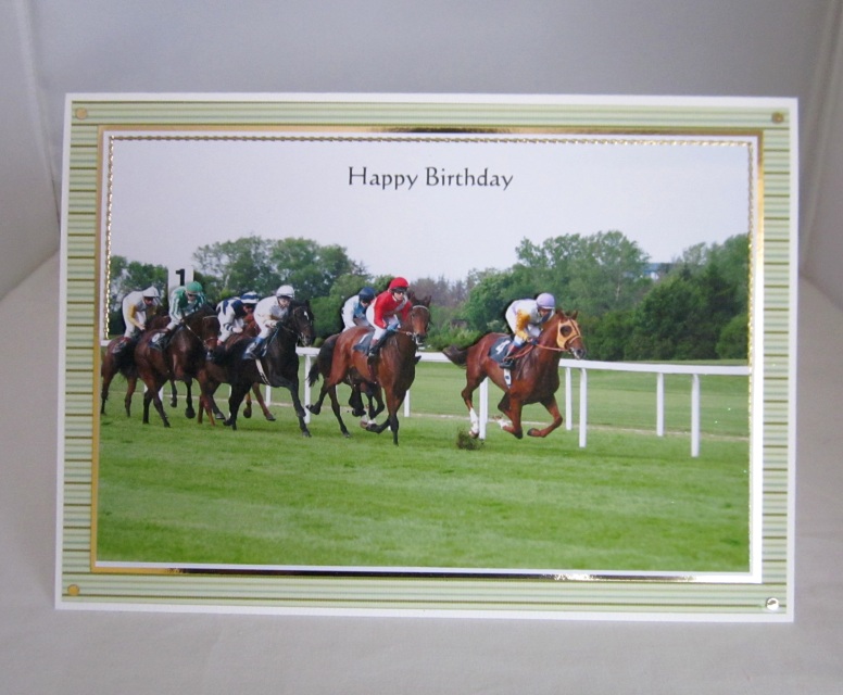 PERSONALISED HORSE RACING A4 TRI FOLD BIRTHDAY CARD ANY NAME AGE GREETING 